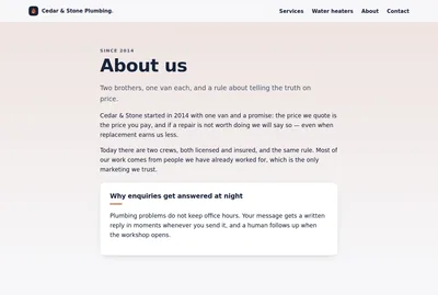 The example site's about page.